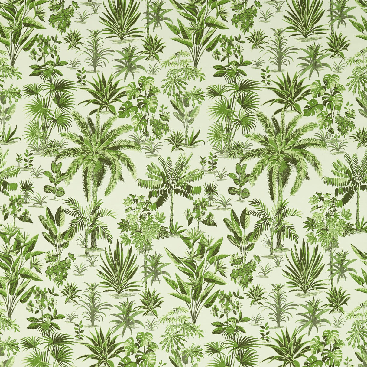 Clarke & Clarke MALINDI PALM Drapery Fabric