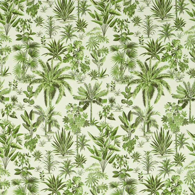 Clarke & Clarke MALINDI PALM Drapery Fabric