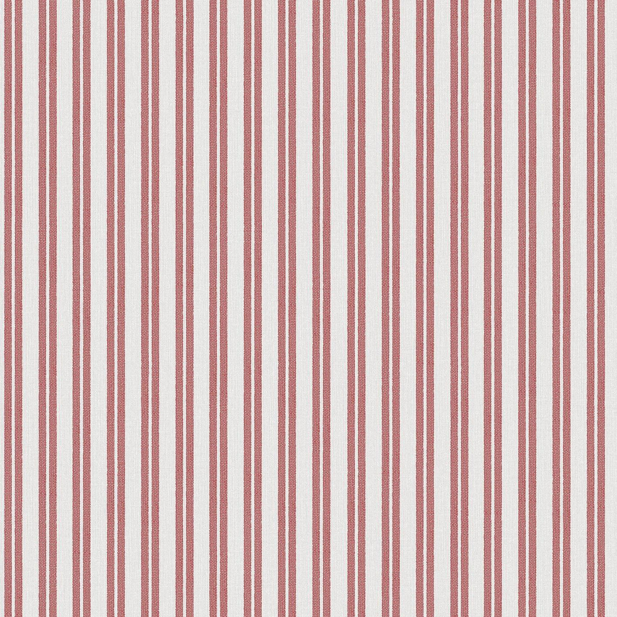 Gaston Y Daniela OYAMBRE TOMATE Wallpaper