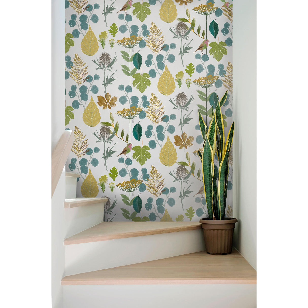 Gaston Y Daniela HERBARIUM 001 Wallpaper