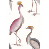 Gaston Y Daniela GARZAS BLANCO Wallpaper