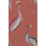 Gaston Y Daniela GARZAS FRAMBUESA Wallpaper