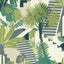 Clarke & Clarke MALINDI PALM WP Wallpaper