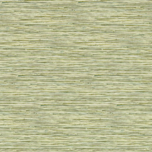 Clarke & Clarke XAN PALM WP Wallpaper