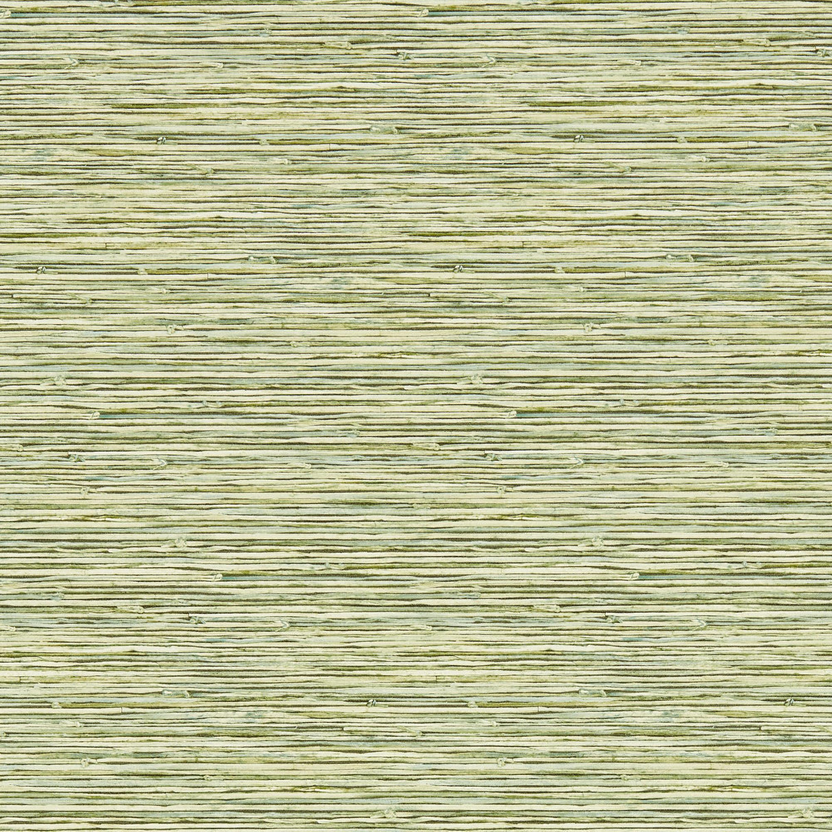 Clarke & Clarke XAN PALM WP Wallpaper