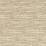 Clarke & Clarke XAN SAHARA WP Wallpaper