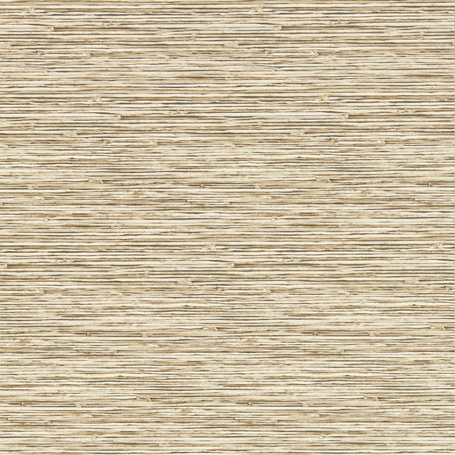 Clarke & Clarke XAN SAHARA WP Wallpaper