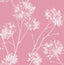 Seabrook One O'Clocks Pink Wallpaper