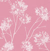 Seabrook One O'Clocks Pink Wallpaper