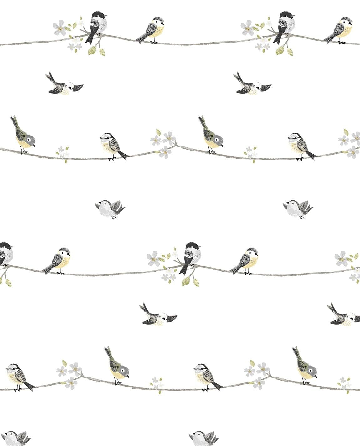 Seabrook Sweet Tweet Charcoal & Buttercup Wallpaper