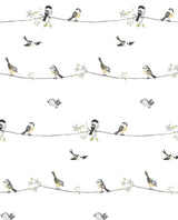 Seabrook Sweet Tweet Charcoal & Buttercup Wallpaper
