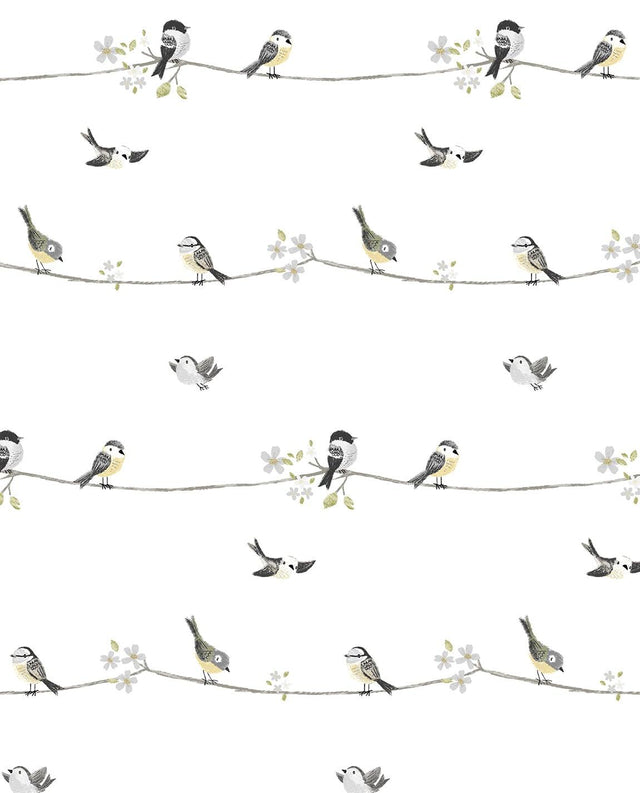 Seabrook Sweet Tweet Charcoal & Buttercup Wallpaper