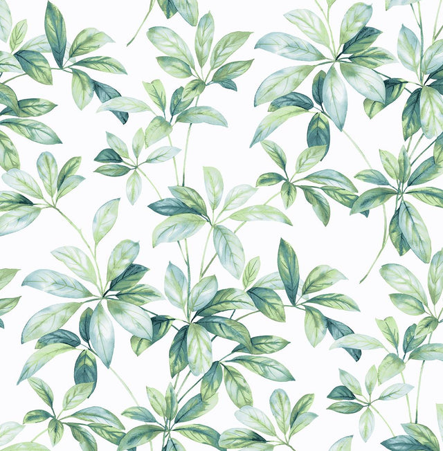 Seabrook Leaf Trail Seaglass Wallpaper