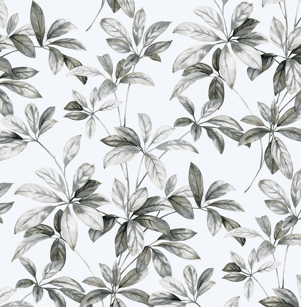 Seabrook Leaf Trail Grey Wallpaper