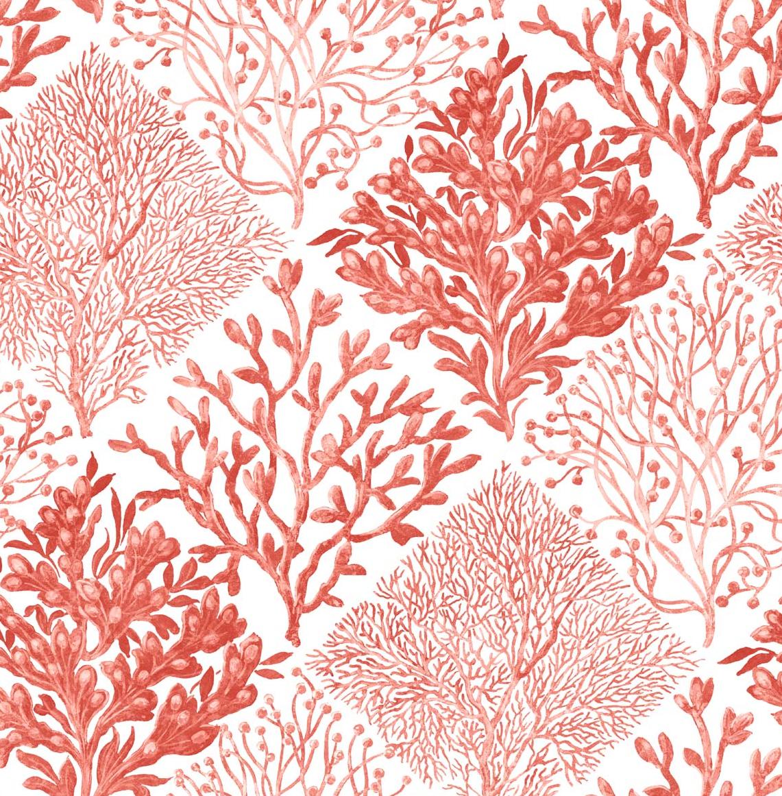 Seabrook Seaweed Vermillion Wallpaper
