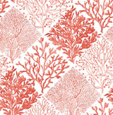 Seabrook Seaweed Vermillion Wallpaper