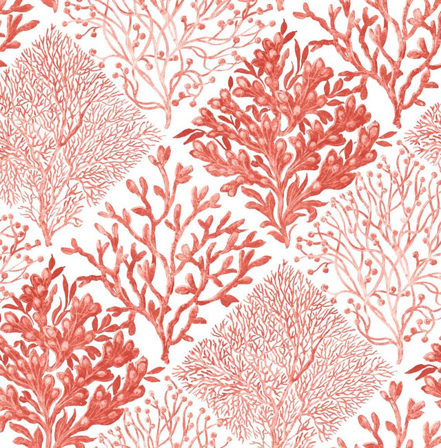 Seabrook Seaweed Vermillion Wallpaper
