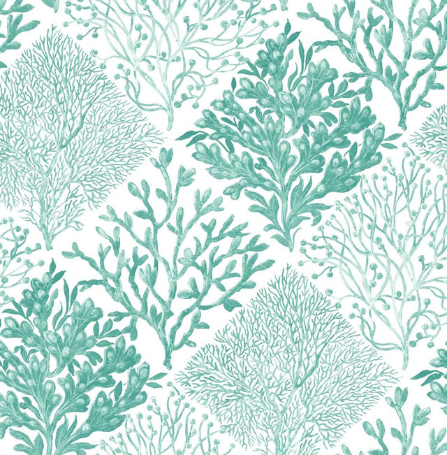 Seabrook Seaweed Seaglass Wallpaper