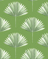 Seabrook Tropical Fan Palm Green Sprout Wallpaper