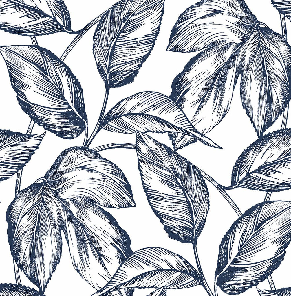 Seabrook Sketched Leaves Blue Wallpaper