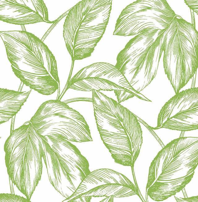 Seabrook Sketched Leaves Greenery Wallpaper