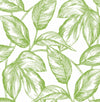 Seabrook Sketched Leaves Greenery Wallpaper