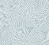 Seabrook Summer Magnolia Blue Skies Wallpaper