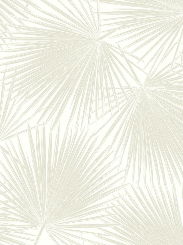 Seabrook Aruba Palm Sea Salt Wallpaper