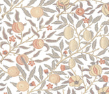 Seabrook Pomegranate Daydream Grey & Melon Wallpaper