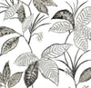 Seabrook Boho Leaf Trail Greystone Wallpaper