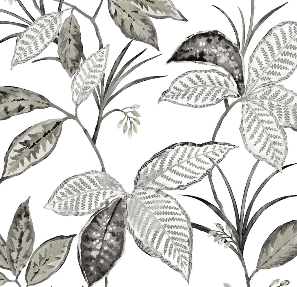 Seabrook Boho Leaf Trail Grey Wallpaper
