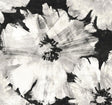 Seabrook Graphic Floral Ebony & Champagne Wallpaper