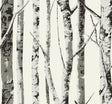 Seabrook Winter Birch Greystone Wallpaper