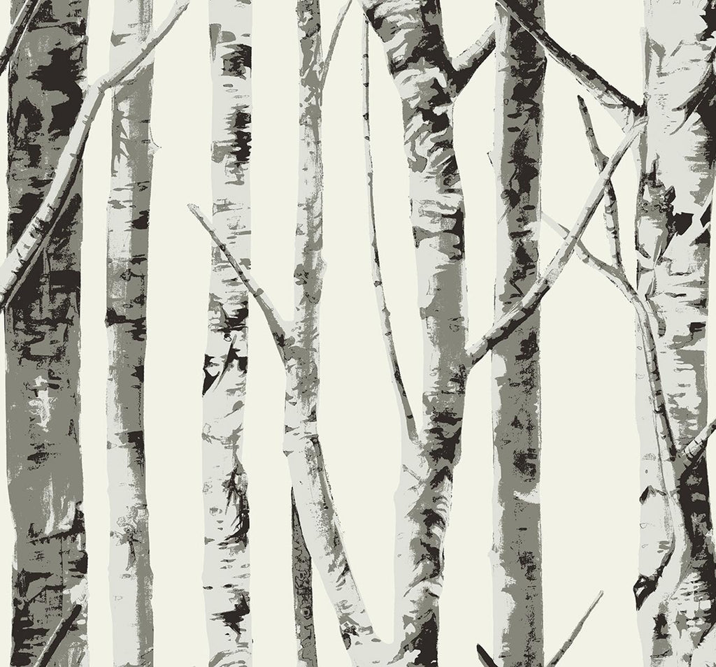 Seabrook Winter Birch Grey Wallpaper