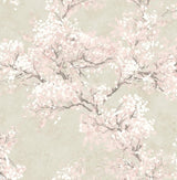 Seabrook Cherry Blossom Grove Parchment & Rose Wallpaper