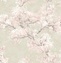 Seabrook Cherry Blossom Grove Parchment & Rose Wallpaper