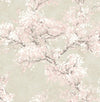 Seabrook Cherry Blossom Grove Parchment & Rose Wallpaper
