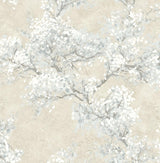 Seabrook Cherry Blossom Grove Parchment & Morning Fog Wallpaper