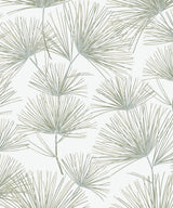 Seabrook Pine Needles Aloe Green Wallpaper