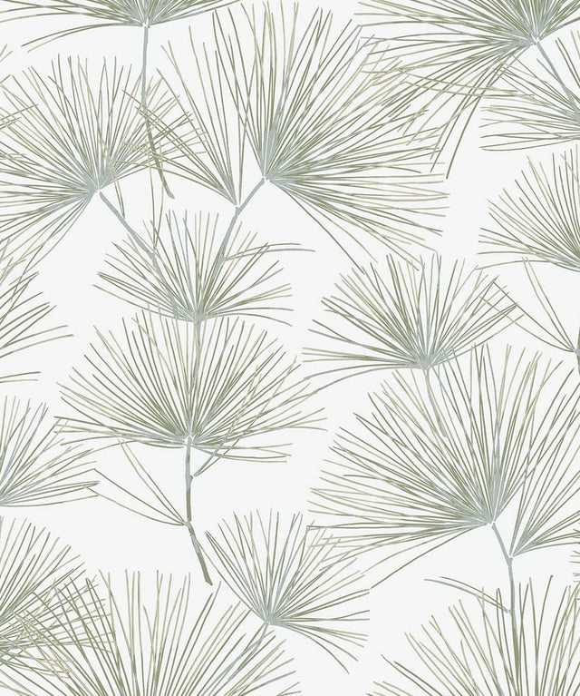 Seabrook Pine Needles Aloe Green Wallpaper