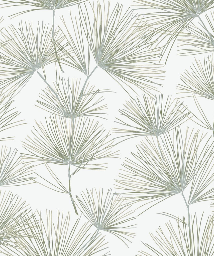 Seabrook Pine Needles Green Wallpaper