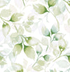 Seabrook Watercolor Tossed Leaves Green Ivy Wallpaper