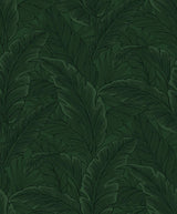 Seabrook Gulf Tropical Leaves Forest Green Wallpaper