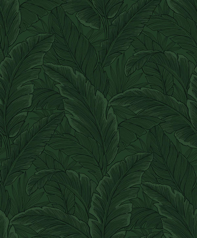 Seabrook Gulf Tropical Leaves Forest Green Wallpaper
