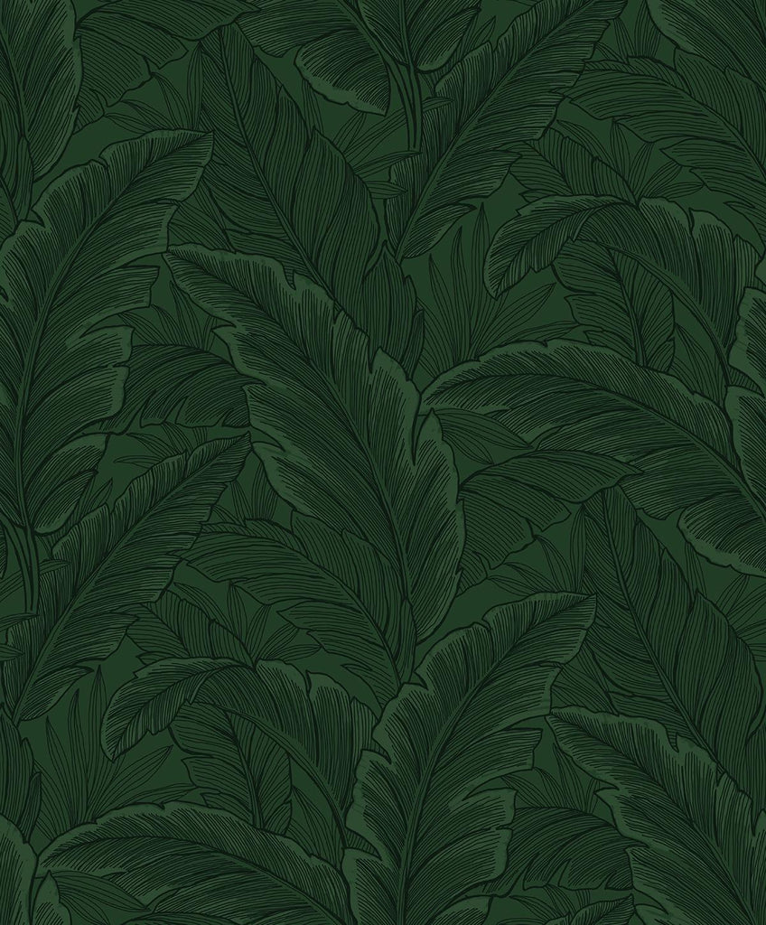 Seabrook Gulf Tropical Leaves Green Wallpaper