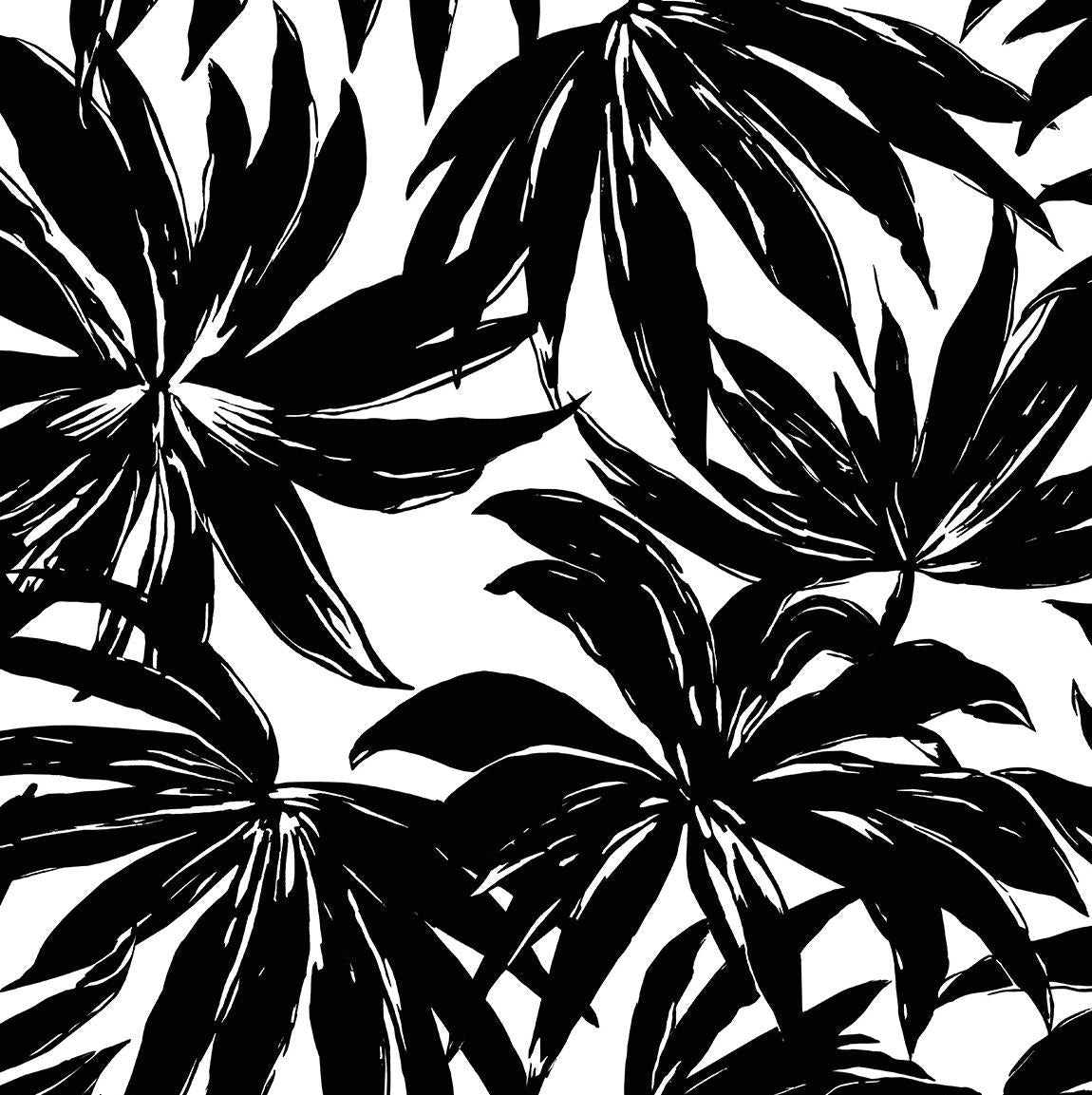 Seabrook Palma Black Wallpaper