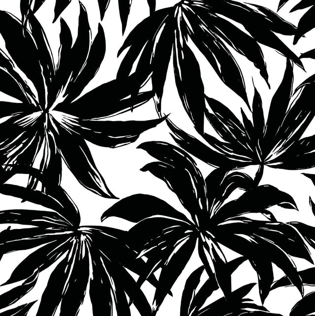 Seabrook Palma Black Wallpaper