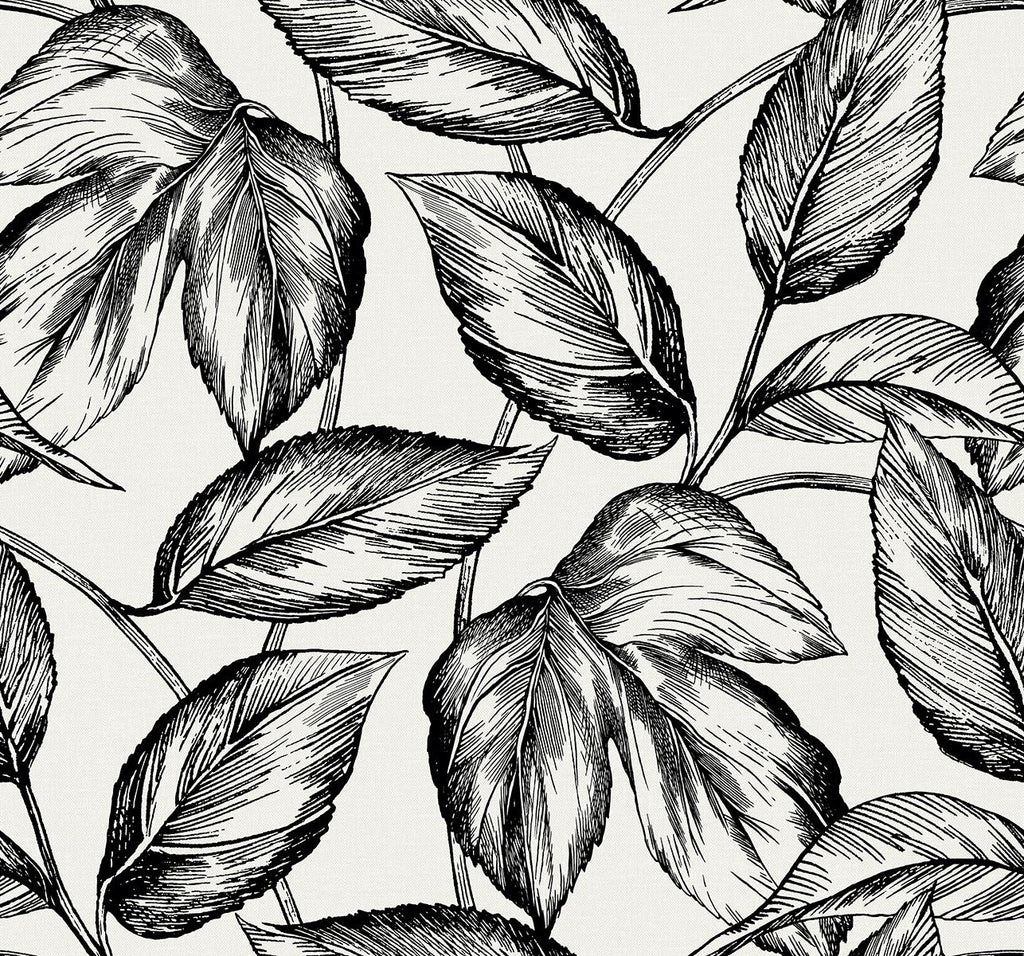 Seabrook Beckett Sketched Leaves Black Wallpaper