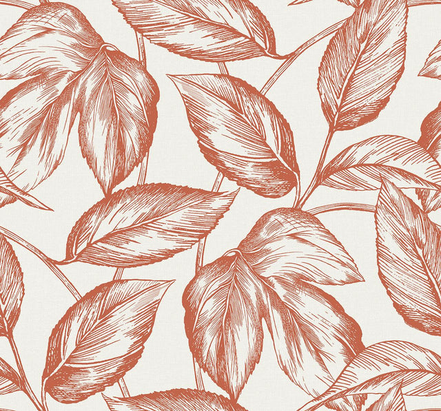 Seabrook Beckett Sketched Leaves Rich Coral Wallpaper