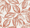 Seabrook Beckett Sketched Leaves Rich Coral Wallpaper